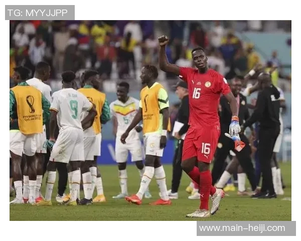 马里足球的崛起与挑战:探索非洲足球的未来发展之路